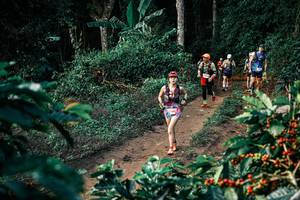 BIB: 
                            <button type="button" onclick="openModal(25824380)" class="btn btn-primary btn-sm float-right btn-popup" data-toggle="modal" data-target=".modal-high-quality">
                        <i class="fas fa-shopping-cart"></i> Add to Cart
                    </button>
                                            <button type="button" onclick="isThisMe(25824380, true)" class="btn btn-success btn-sm float-right btn-popup btn-isme hidden" data-toggle="tooltip" data-placement="bottom" title="นี่คือรูปของคุณใช่ไหม คลิกที่นี่เพื่อเอาเข้าอัลบั้ม">
                        <i class="fas fa-plus"></i> Add to album
                    </button>
                    <button type="button" onclick="isThisMe(25824380, false)" class="btn btn-warning btn-sm float-right btn-popup btn-isnotme hidden">
                        <i class="fas fa-ban"></i> Remove from album
                    </button>